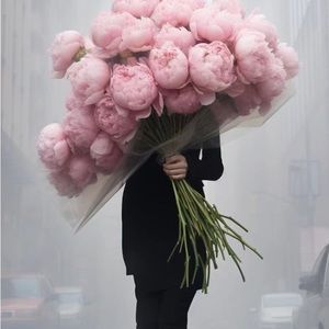 πΈπΈπΈπΈπΈBEAUTIFUL STRANGERπΈπΈπΈπΈπΈ